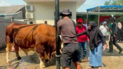 Idul Adha Tahun 2026, Wakil Ketua DPRD Tangerang Kholid Ismail Kurban 15 Ekor Sapi dan 10 Kambing