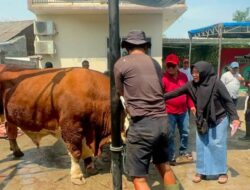Idul Adha Tahun 2026, Wakil Ketua DPRD Tangerang Kholid Ismail Kurban 15 Ekor Sapi dan 10 Kambing
